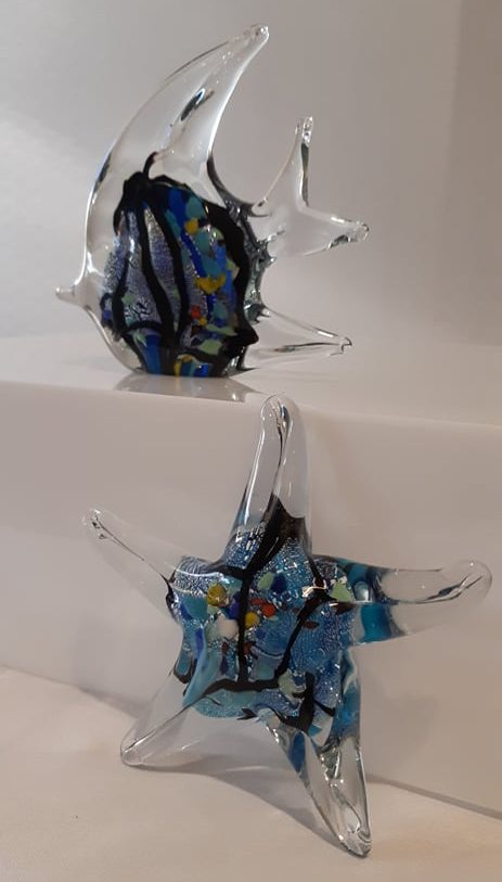glass-fish